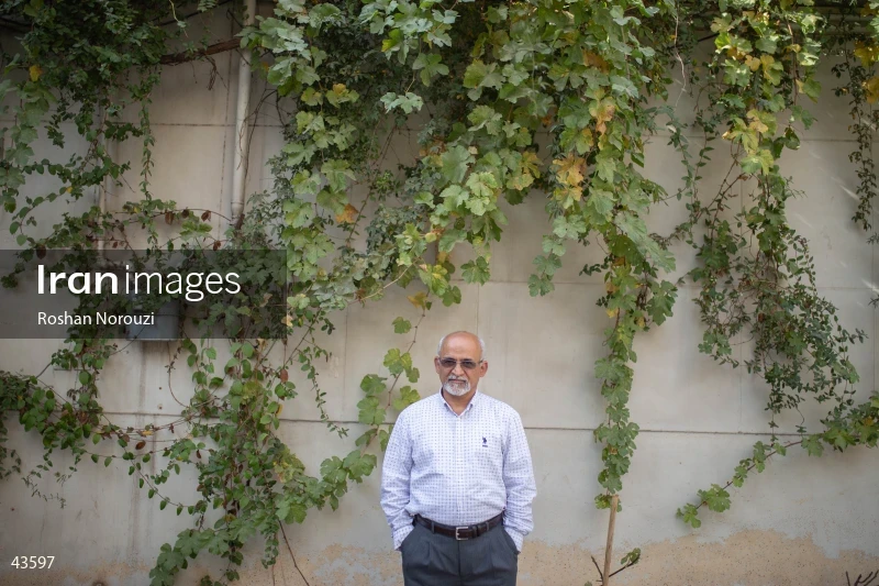 Mohsen Mirdamadi