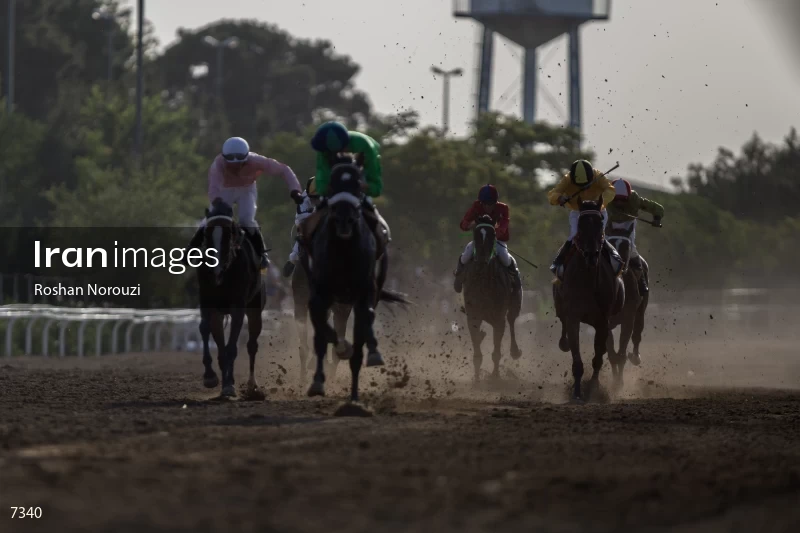Tehran Horse Riding Summer Event