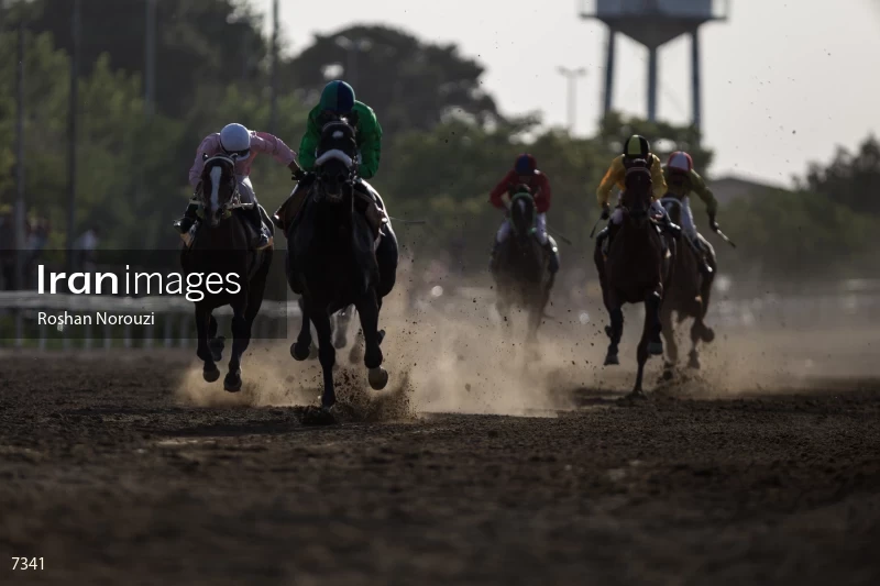 Tehran Horse Riding Summer Event