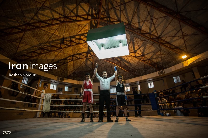 The Quartet boxing tournament
