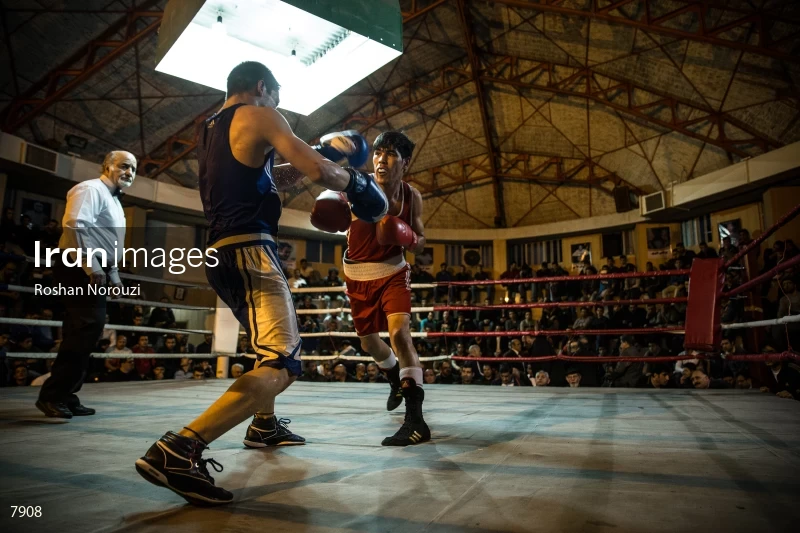 The Quartet boxing tournament