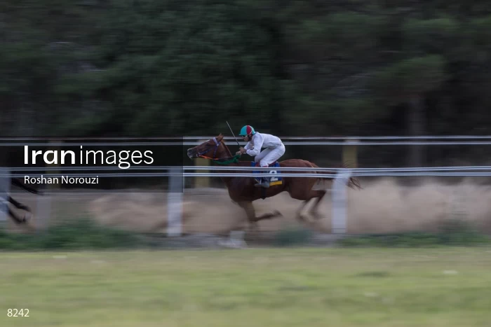 Tehran Horse Riding Summer Event