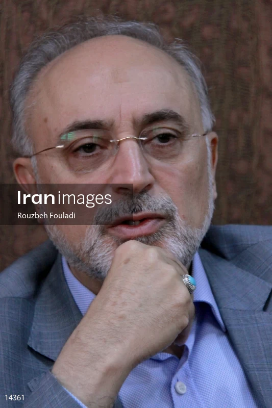 Ali Akbar Salehi