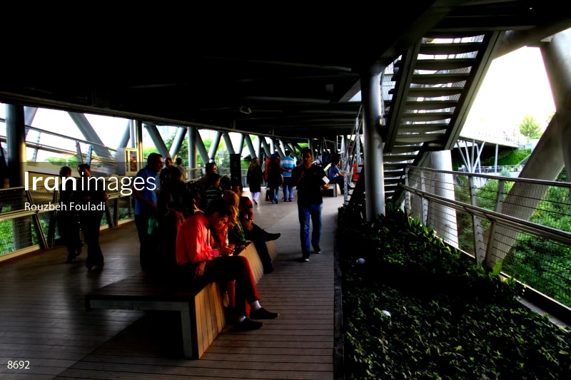 Tabiat Bridge