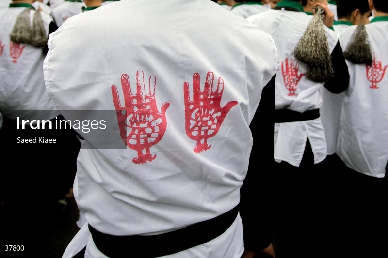 Mourning for the martyrdom of Imam Reza (AS)