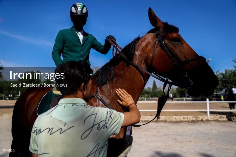 Armos Cup international horse jumping competition