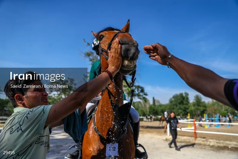 Armos Cup international horse jumping competition