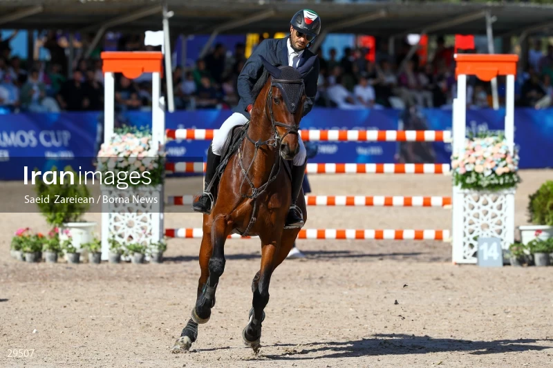 Armos Cup international horse jumping competition