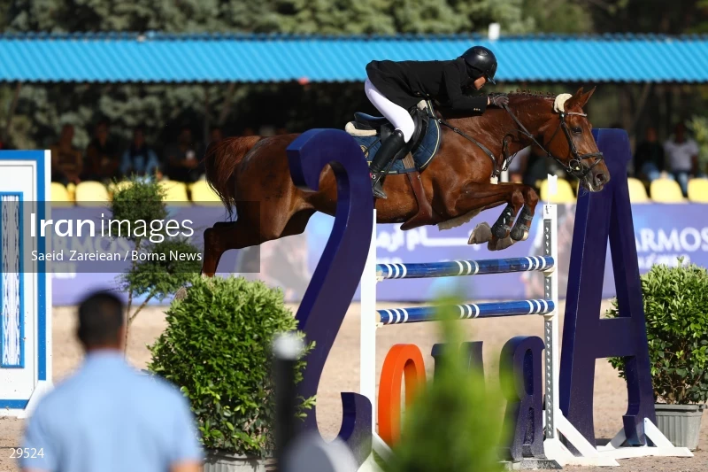Armos Cup international horse jumping competition