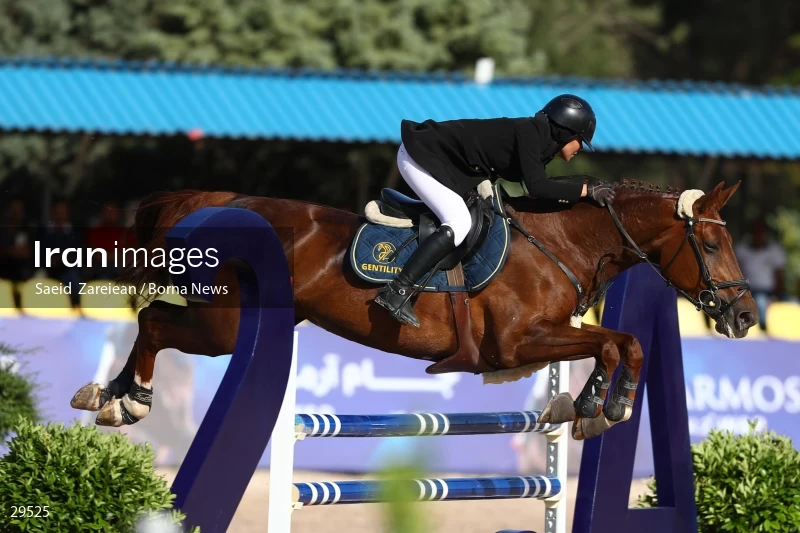 Armos Cup international horse jumping competition