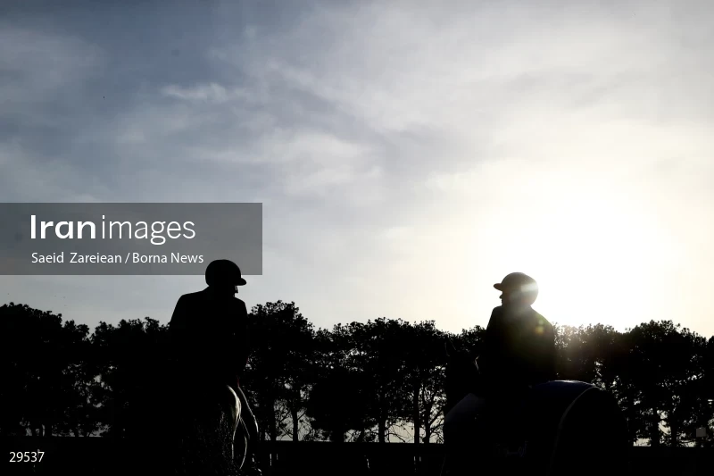Armos Cup international horse jumping competition