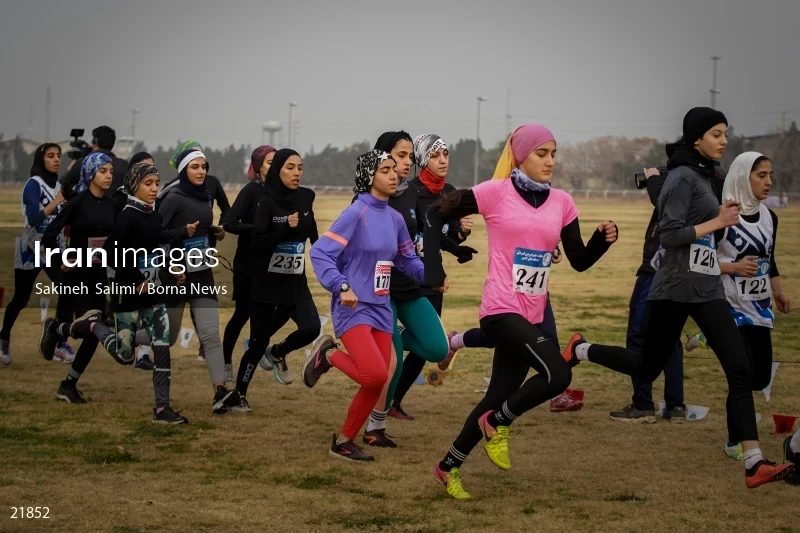 Cross country running competitions