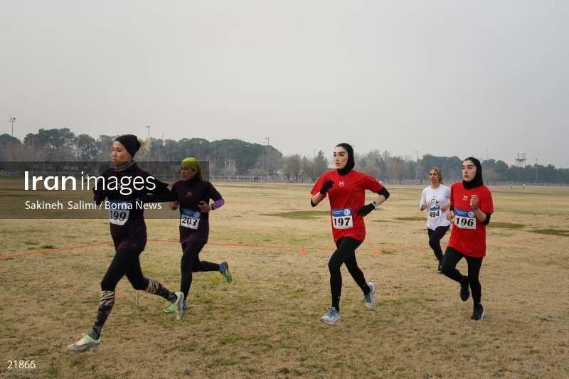 Cross country running competitions