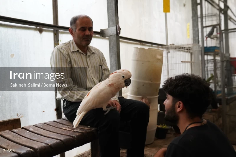 Tehran Birds Garden