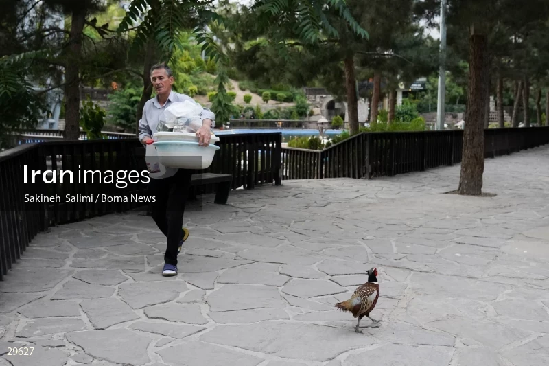 Tehran Birds Garden
