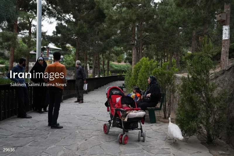 Tehran Birds Garden