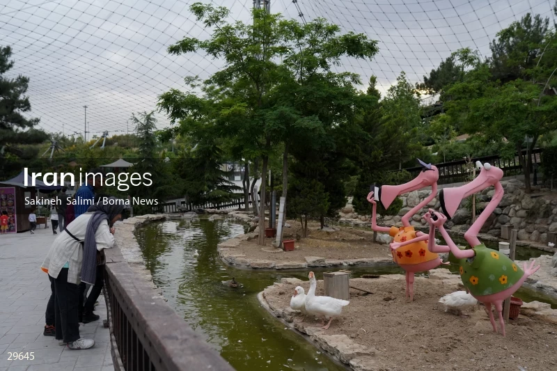 Tehran Birds Garden