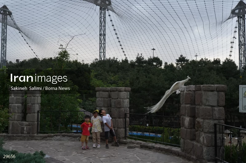 Tehran Birds Garden