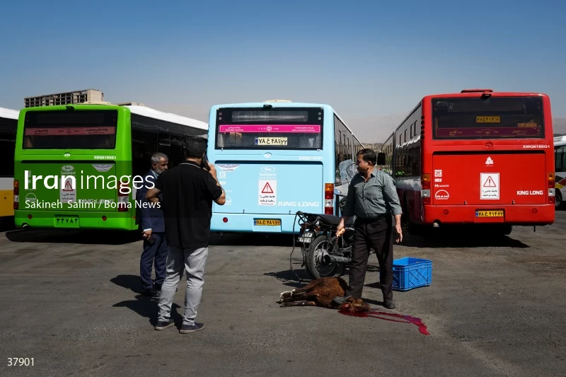Implementation of the plan for renovating and reconstructing public transportation fleets
