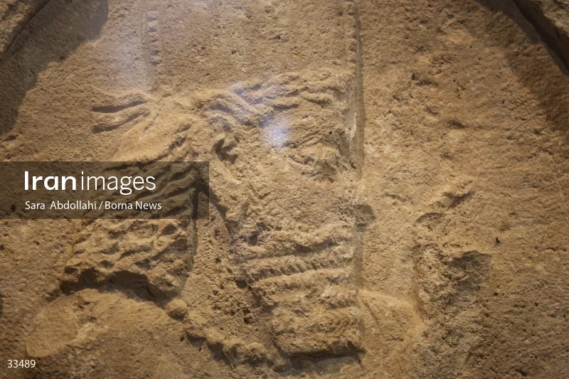 The unveiling ceremony of the Sassanid bas-relief
