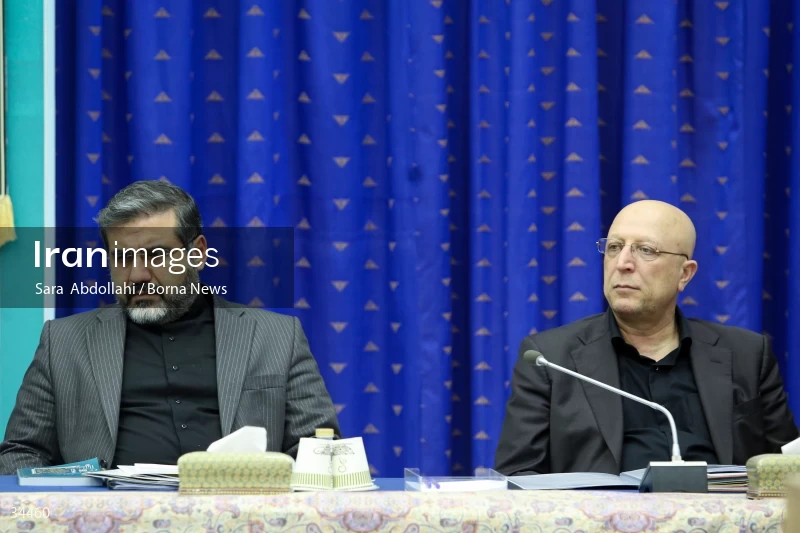 Meeting of the National Virtual Space Center