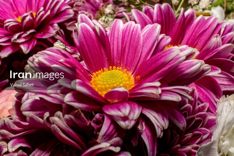 Bouquet