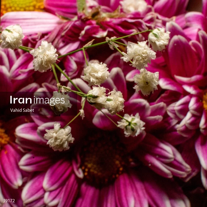 Bouquet