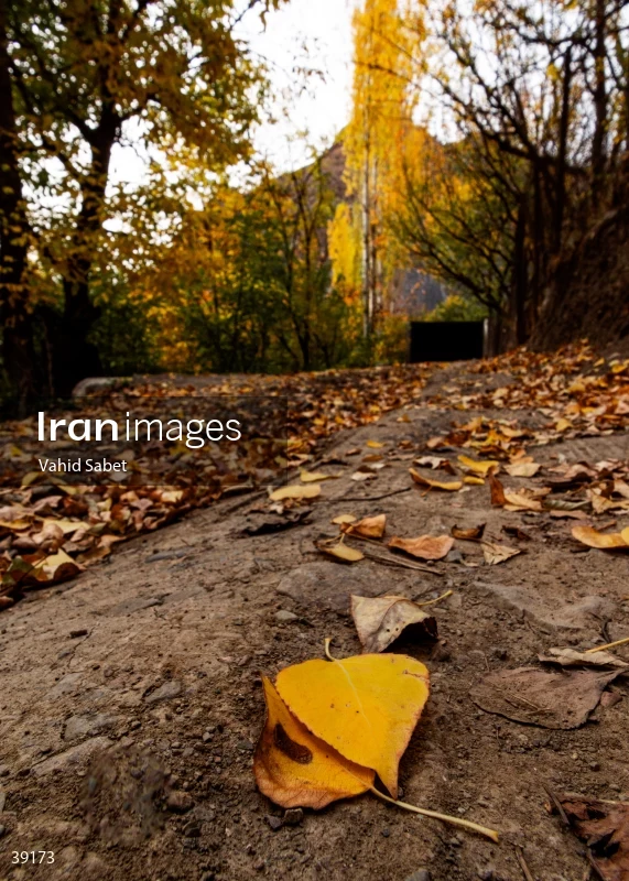 Autumn landscape