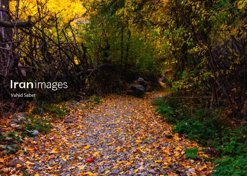 Autumn landscape