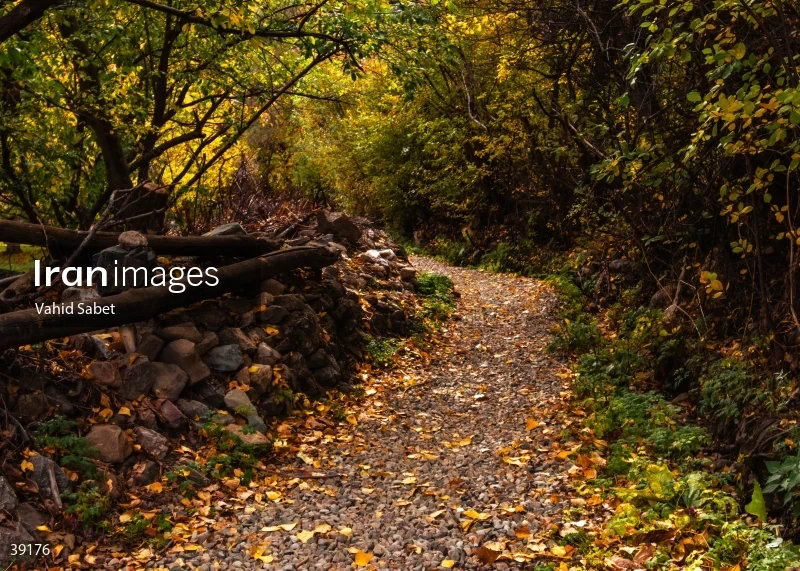 Autumn landscape