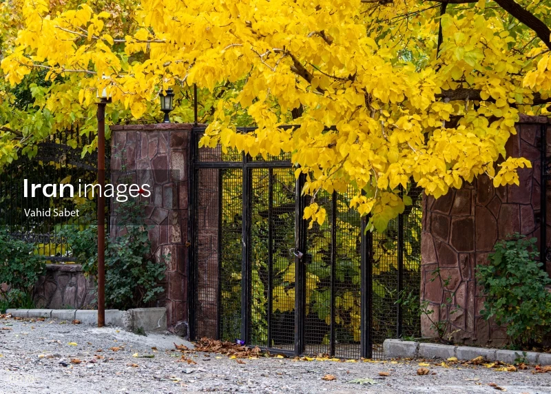 Autumn landscape