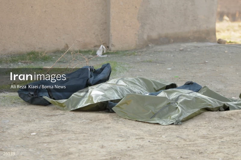 The crash of the Ukrainian passenger plane