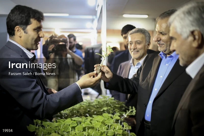 4th Education Festival in University of Tehran