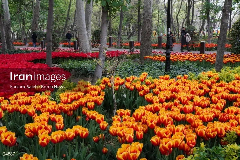 Bagh-e Irani (Iranian Garden) Park