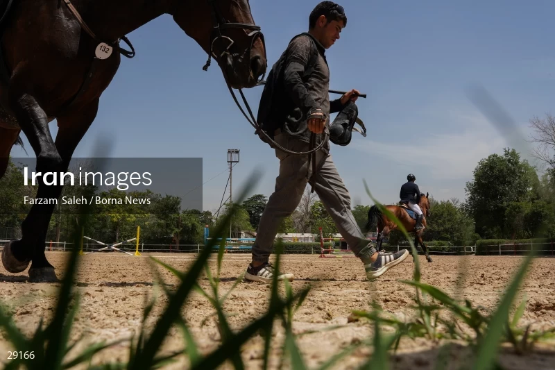 Armos Cup international horse jumping competition