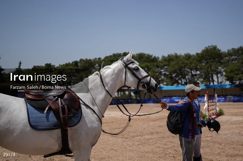 Armos Cup international horse jumping competition