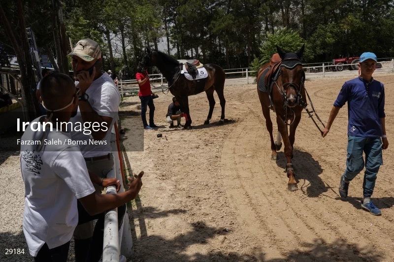 Armos Cup international horse jumping competition