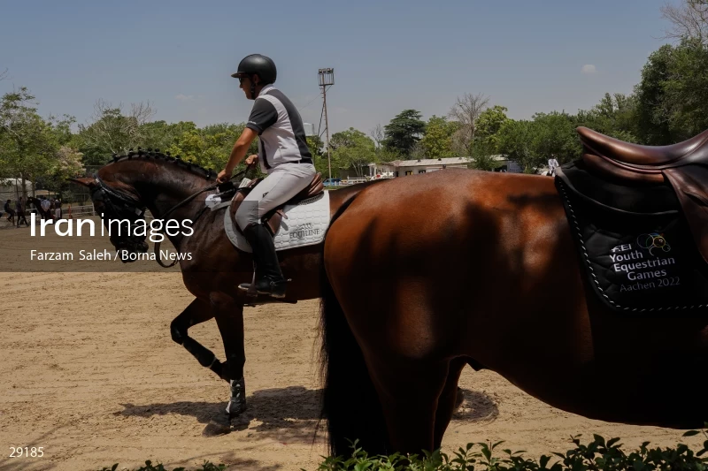 Armos Cup international horse jumping competition