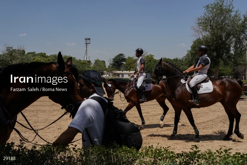 Armos Cup international horse jumping competition
