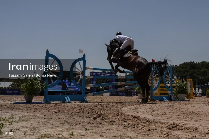Armos Cup international horse jumping competition