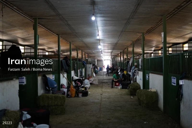 Armos Cup international horse jumping competition