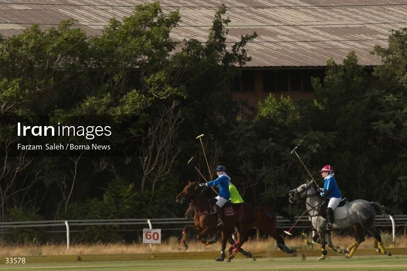 The 7th week of the National Women's Polo League (Laleh Cup)