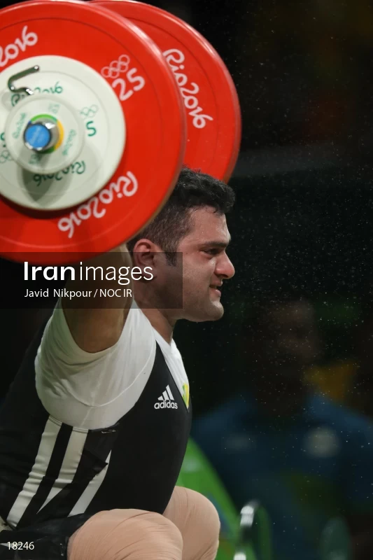 Mohammadreza Barari