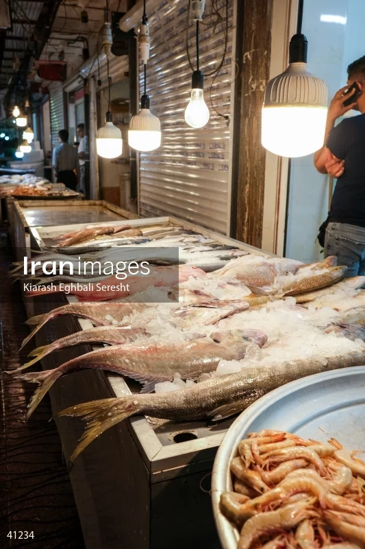 Bushehr's Market