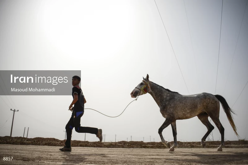 7th Annual Nomads Horse Riding Race
