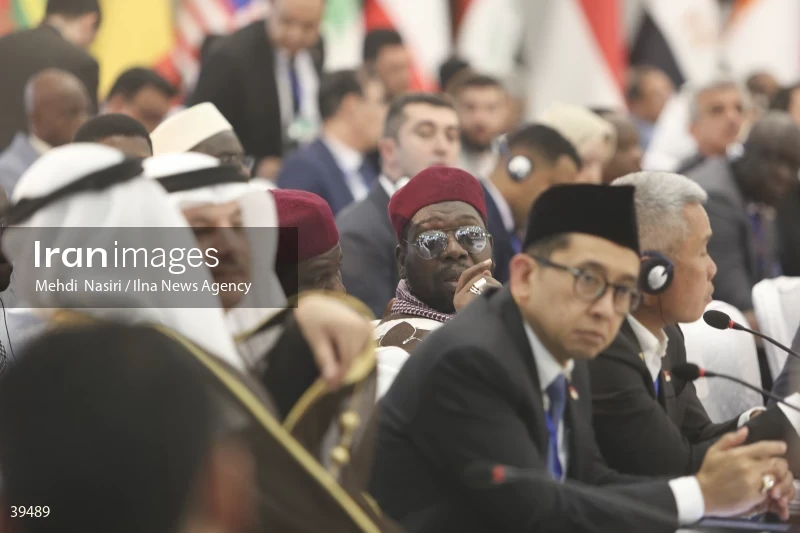 The fifth emergency session of the Permanent Committee on Palestine