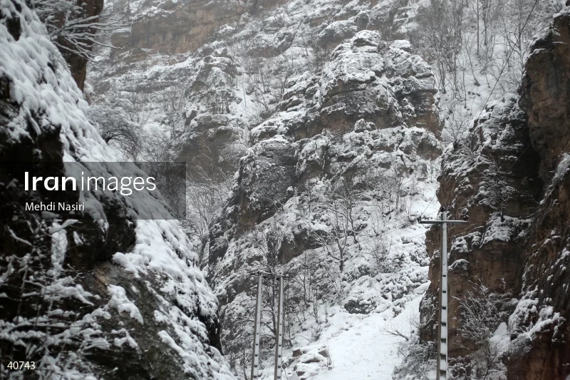 Chalus Road