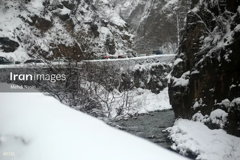 Chalus Road