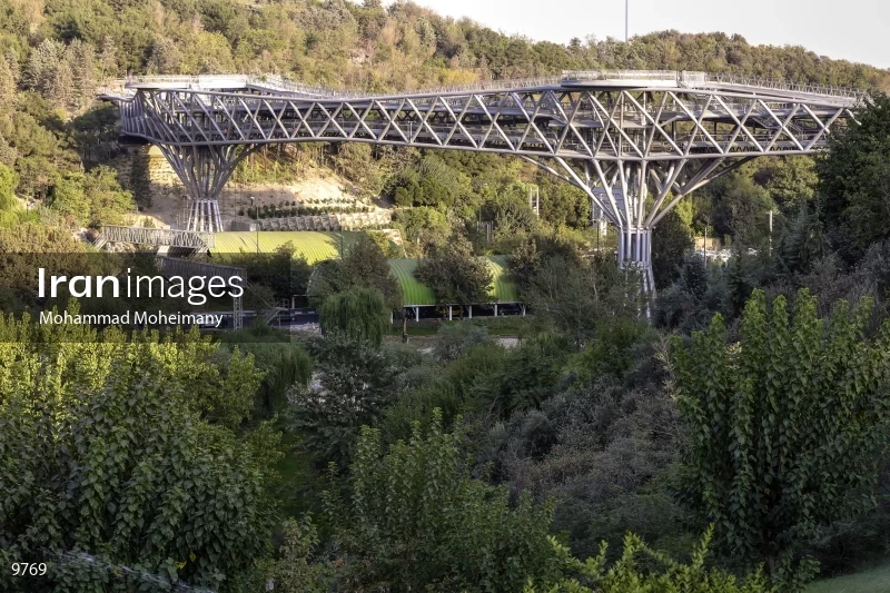 Tabiat Bridge