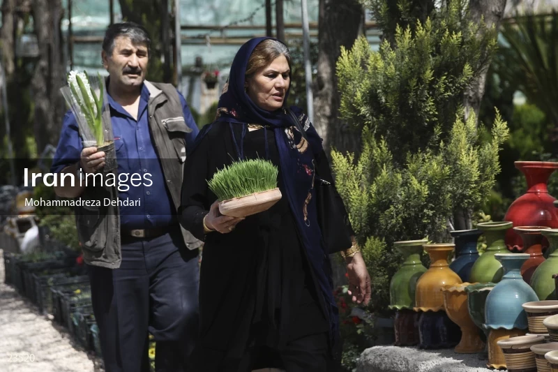 Qasr Aldasht flower market, Shiraz